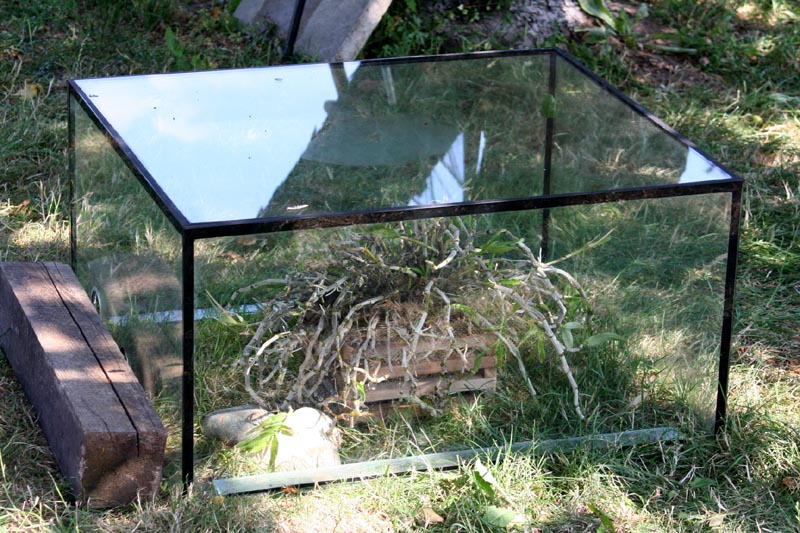 Killikus&reg; Fotographie